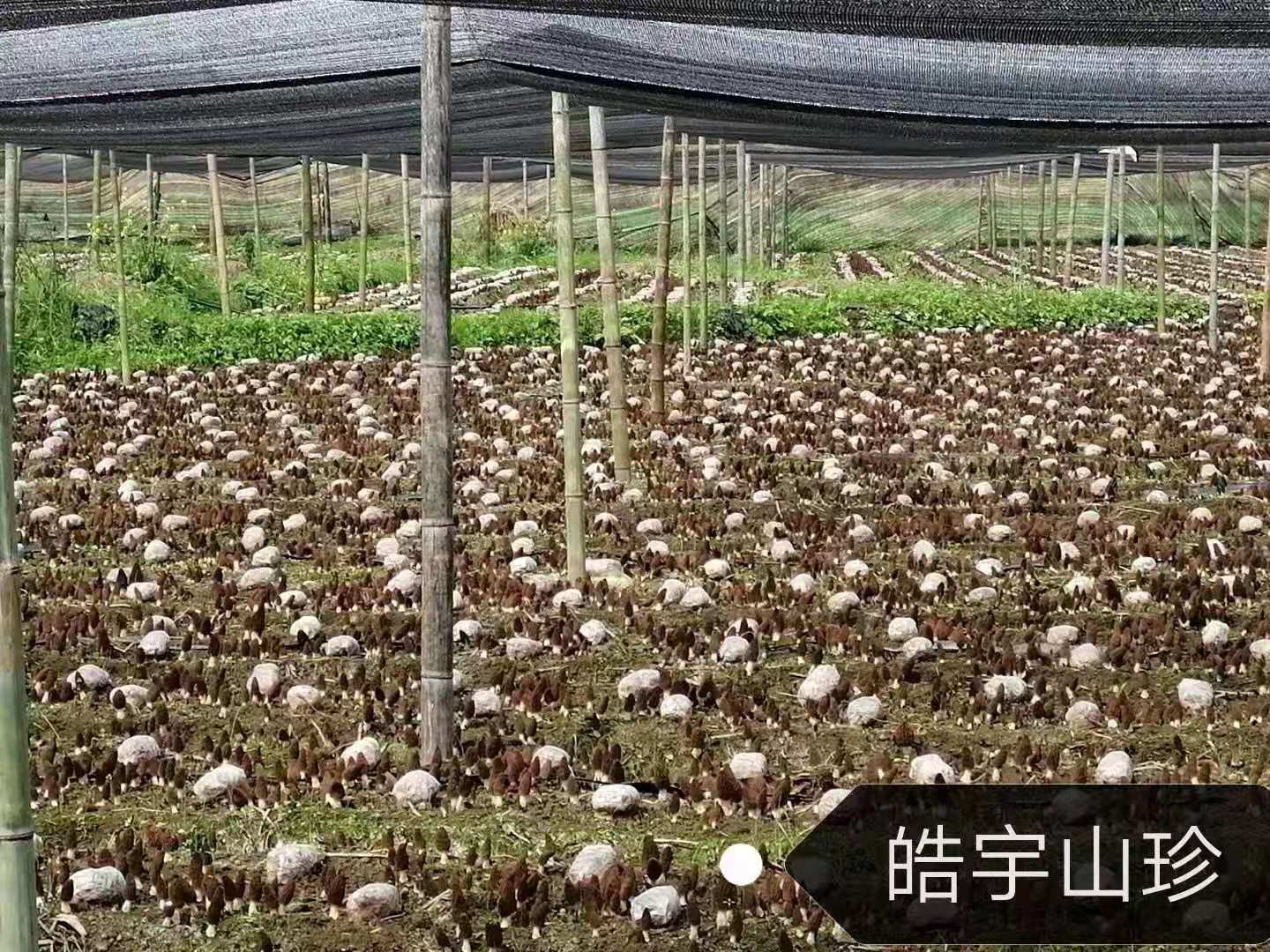 &#49;&#88;&#66;&#69;&#84;&#38598;&#22242;&#23448;&#32593;&#40;&#20013;&#22269;&#41;&#23448;&#26041;&#32593;&#31449;