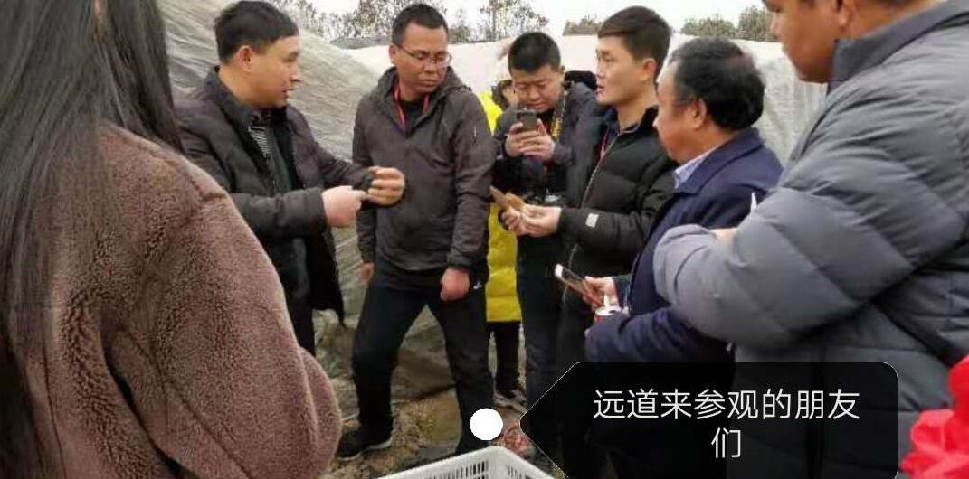 &#49;&#88;&#66;&#69;&#84;&#38598;&#22242;&#23448;&#32593;&#40;&#20013;&#22269;&#41;&#23448;&#26041;&#32593;&#31449;